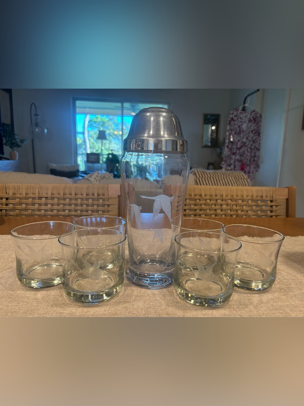 Vintage MCM Flying Geese Etched Cocktail Shaker & 6 Rocks Glasses